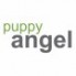 Puppy Angel (1)